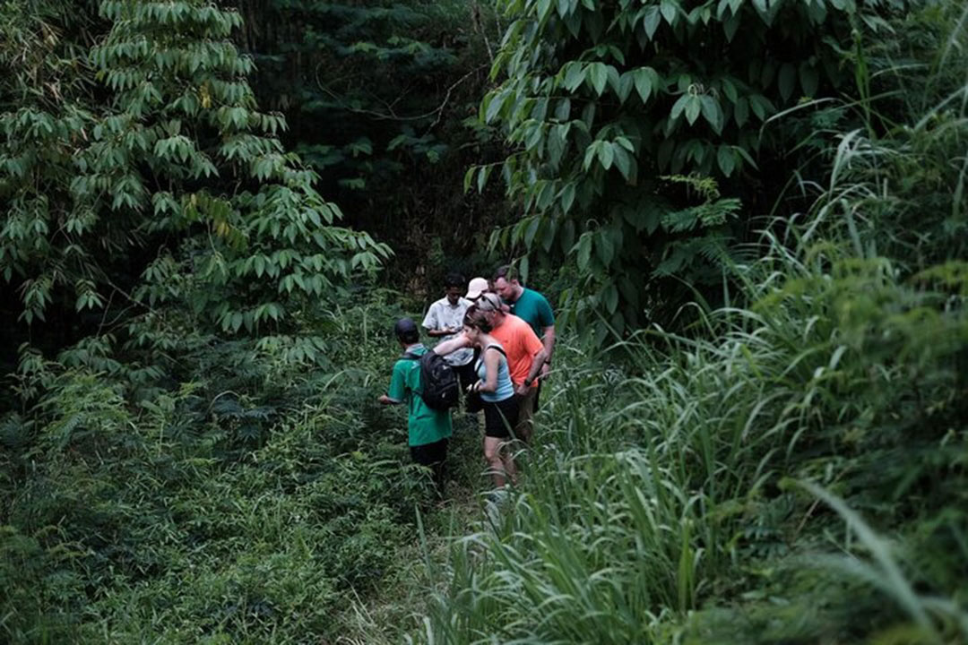 Mount Merapi: A Serene Soft Trek Through Botanic Villages Tour